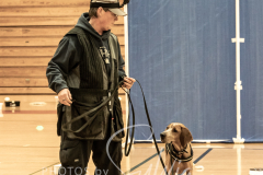 2024-AADTC-Scent-Trial-3-16-3-17-814