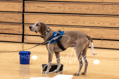 2024-AADTC-Scent-Trial-3-16-3-17-817