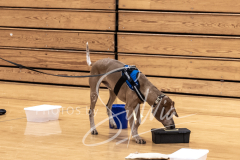 2024-AADTC-Scent-Trial-3-16-3-17-824