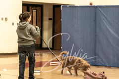 2024-AADTC-Scent-Trial-3-16-3-17-844