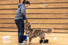 2024-AADTC-Scent-Trial-3-16-3-17-854