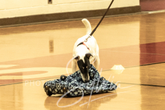 2024-AADTC-Scent-Trial-3-16-3-17-869