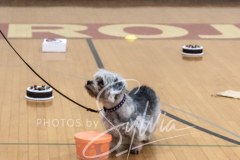 2024-AADTC-Scent-Trial-3-16-3-17-902