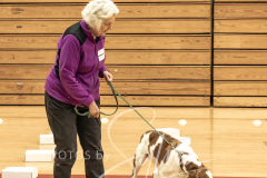 2024-AADTC-Scent-Trial-3-16-3-17-94