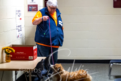 2024-AADTC-Scent-Trial-3-16-3-17-956