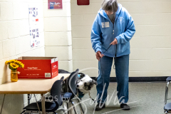 2024-AADTC-Scent-Trial-3-16-3-17-971