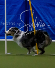 2025-10-11-BANDA-SAT-261