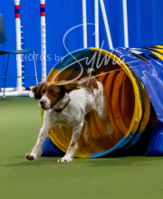 2025-10-11-BANDA-SAT-274