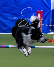 2025-10-11-BANDA-SAT-278