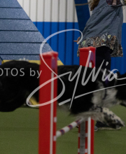 2025-10-11-BANDA-SAT-279