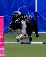 2025-10-11-BANDA-SAT-281