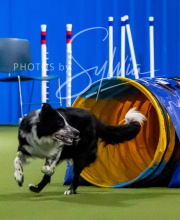 2025-10-11-BANDA-SAT-288