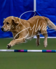 2025-10-11-BANDA-SAT-297