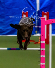 2025-10-11-BANDA-SAT-301