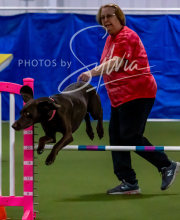 2025-10-11-BANDA-SAT-305