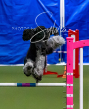 2025-10-11-BANDA-SAT-310