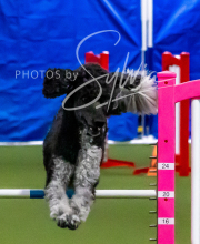 2025-10-11-BANDA-SAT-311