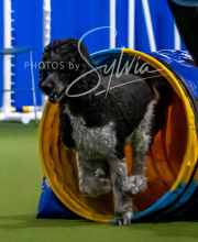 2025-10-11-BANDA-SAT-317