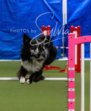 2025-10-11-BANDA-SAT-322