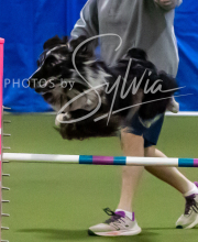 2025-10-11-BANDA-SAT-325