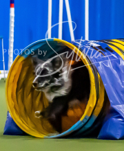 2025-10-11-BANDA-SAT-331