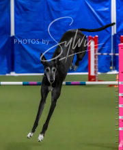 2025-10-11-BANDA-SAT-336