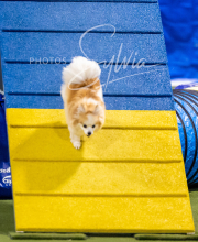 2025-10-11-BANDA-SAT-356