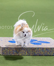 2025-10-11-BANDA-SAT-359