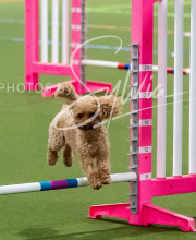 2025-10-11-BANDA-SAT-361