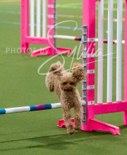 2025-10-11-BANDA-SAT-362