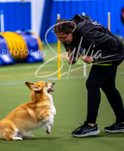 2025-10-11-BANDA-SAT-371