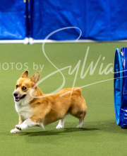 2025-10-11-BANDA-SAT-374