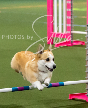 2025-10-11-BANDA-SAT-377