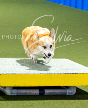 2025-10-11-BANDA-SAT-384