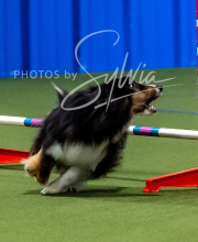 2025-10-11-BANDA-SAT-385