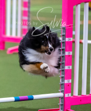 2025-10-11-BANDA-SAT-393