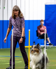 2025-10-11-BANDA-SAT-402