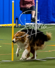 2025-10-11-BANDA-SAT-422