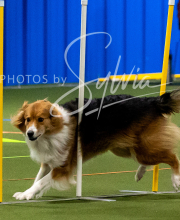 2025-10-11-BANDA-SAT-425