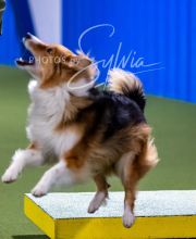 2025-10-11-BANDA-SAT-433