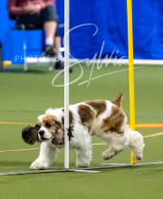 2025-10-11-BANDA-SAT-438