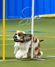 2025-10-11-BANDA-SAT-443