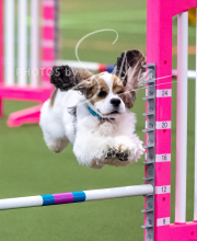 2025-10-11-BANDA-SAT-444