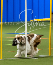 2025-10-11-BANDA-SAT-451