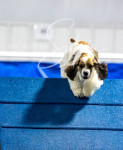 2025-10-11-BANDA-SAT-454