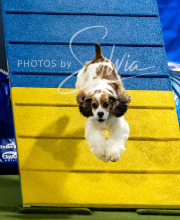 2025-10-11-BANDA-SAT-458