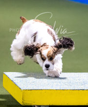 2025-10-11-BANDA-SAT-459