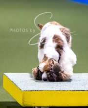 2025-10-11-BANDA-SAT-461