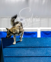 2025-10-11-BANDA-SAT-464