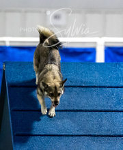 2025-10-11-BANDA-SAT-465